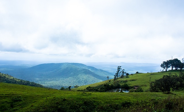 國足球逐漸 國足球逐漸