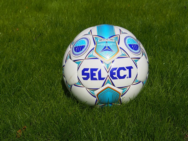 起到关键作 起到关键作