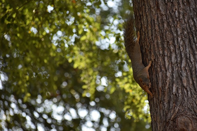 广东胜广厦！赛后3个好消息1个坏消息，徐昕被称开火锅店的.