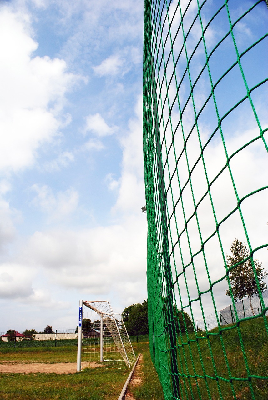 速度与灵活 速度与灵活