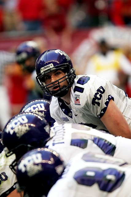 期待他们在 期待他们在